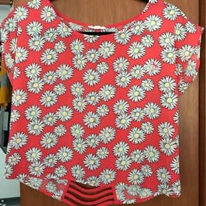 Feeling the daisies 🤟🏼